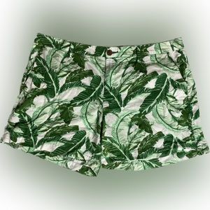Size 14 Old Navy Palm Leaf Print Green White Shorts